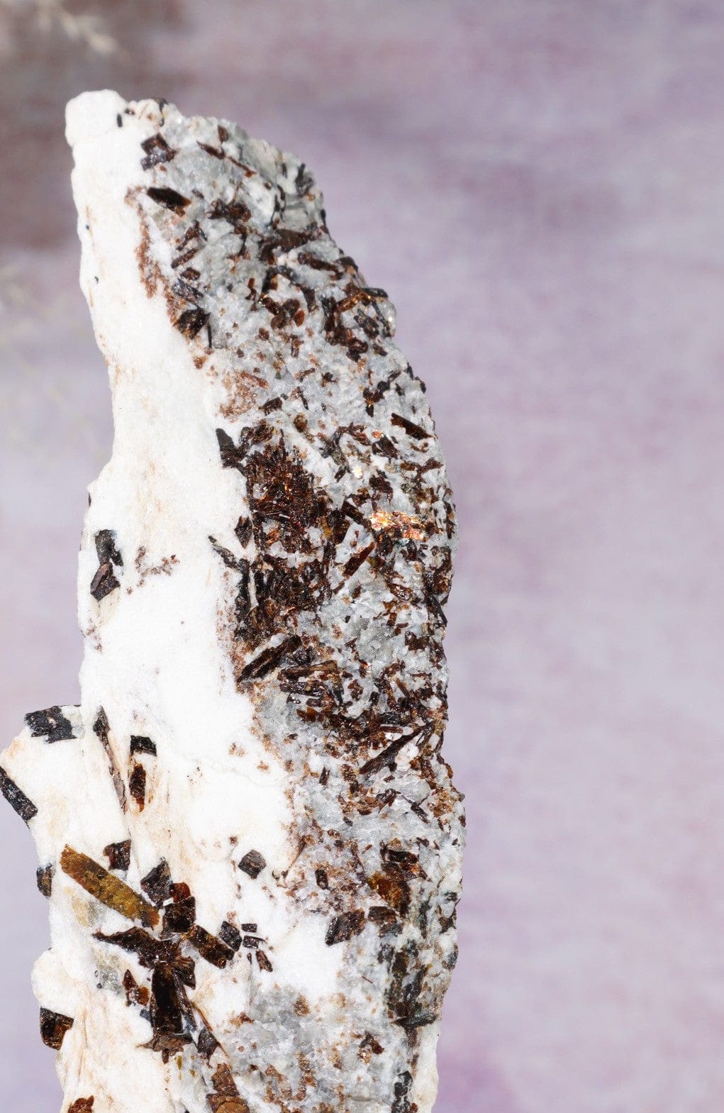 Astrophyllite Mineral Specimen 14cm Specimen Tali & Loz Crystals