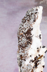 Astrophyllite Mineral Specimen 14cm Specimen Tali & Loz Crystals