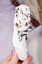 Astrophyllite Mineral Specimen 14cm Specimen Tali & Loz Crystals