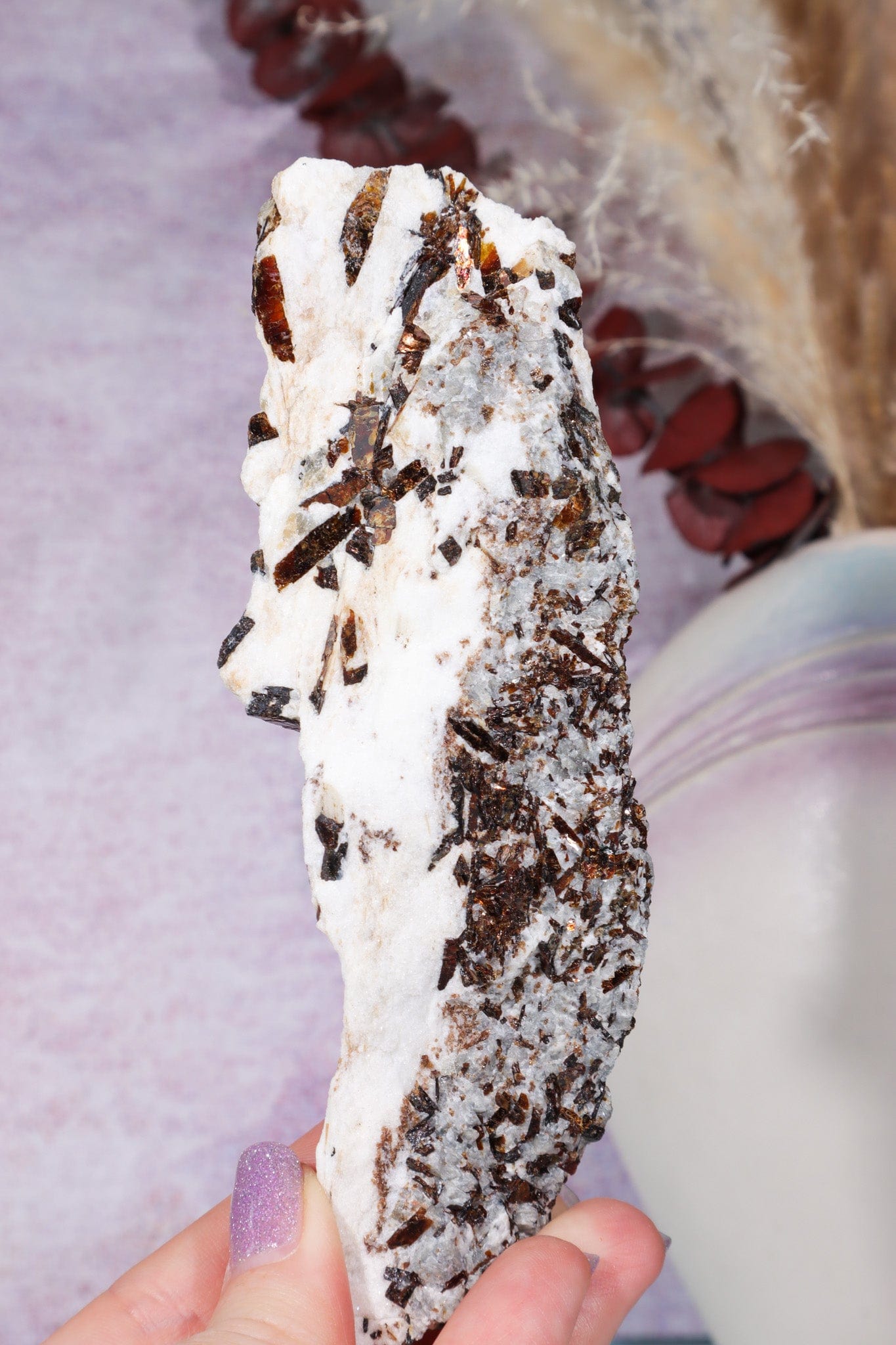 Astrophyllite Mineral Specimen 14cm Specimen Tali & Loz Crystals