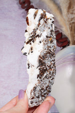 Astrophyllite Mineral Specimen 14cm Specimen Tali & Loz Crystals