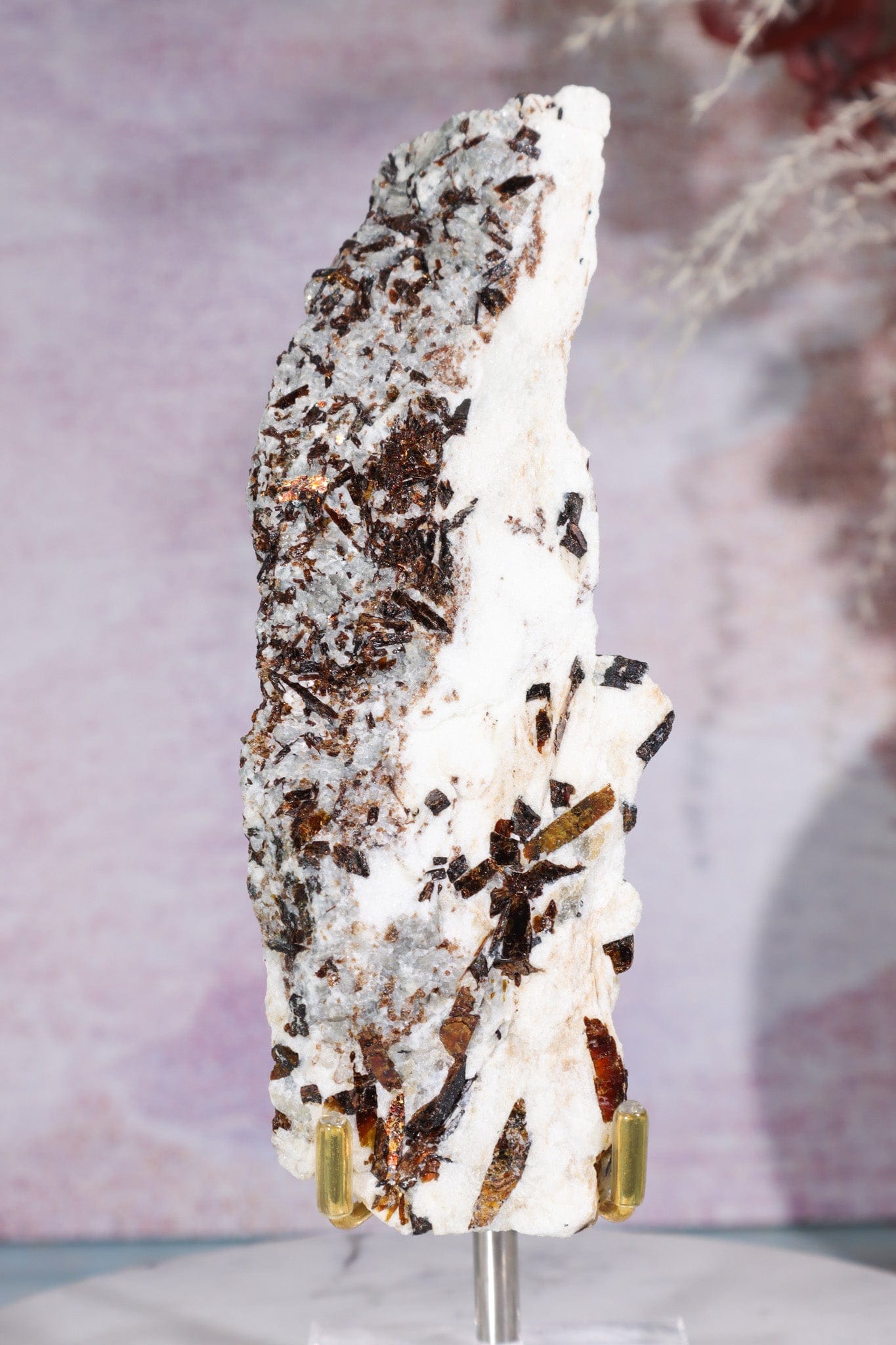 Astrophyllite Mineral Specimen 14cm Specimen Tali & Loz Crystals