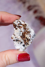 Astrophyllite Mineral Specimen 3.9cm Specimen Tali & Loz Crystals