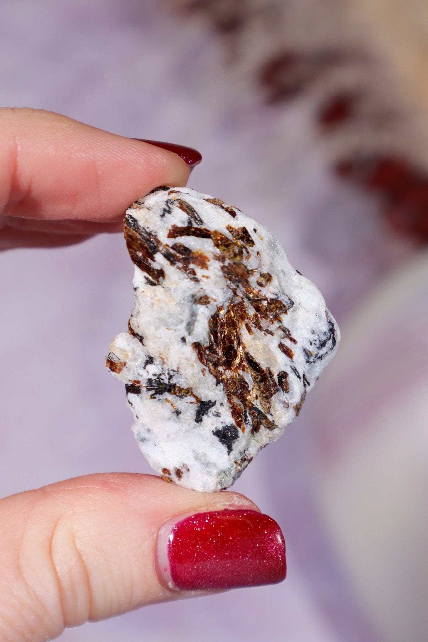 Astrophyllite Mineral Specimen 3.9cm Specimen Tali & Loz Crystals