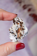 Astrophyllite Mineral Specimen 3.9cm Specimen Tali & Loz Crystals