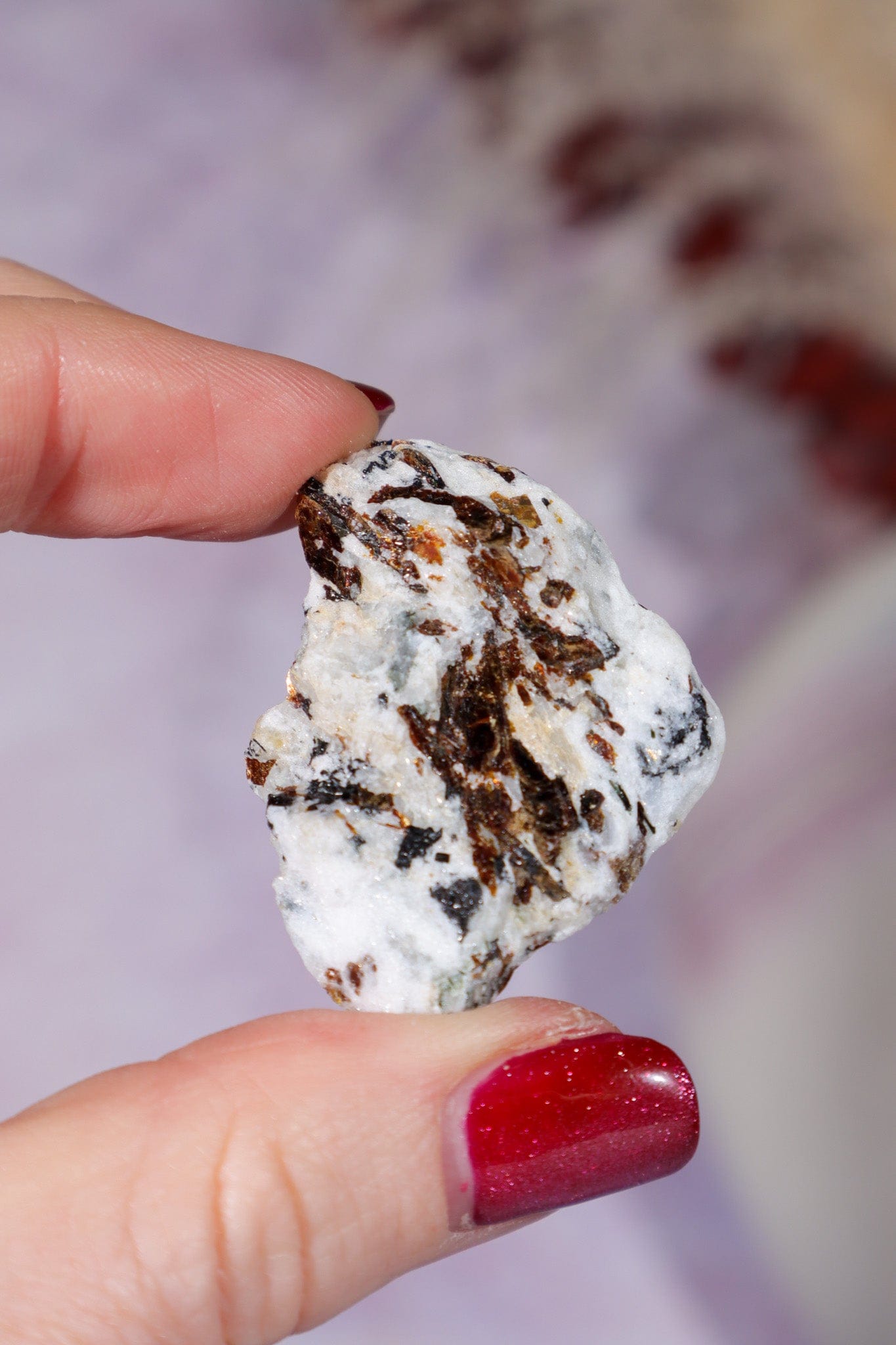 Astrophyllite Mineral Specimen 3.9cm Specimen Tali & Loz Crystals