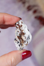 Astrophyllite Mineral Specimen 3.9cm Specimen Tali & Loz Crystals