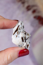 Astrophyllite Mineral Specimen 3.9cm Specimen Tali & Loz Crystals