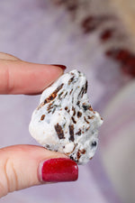 Astrophyllite Mineral Specimen 3.9cm Specimen Tali & Loz Crystals