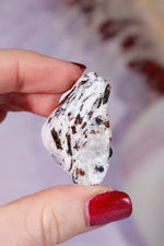 Astrophyllite Mineral Specimen 3.9cm Specimen Tali & Loz Crystals