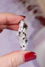 Astrophyllite Mineral Specimen 3.9cm Specimen Tali & Loz Crystals