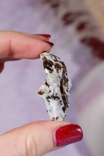 Astrophyllite Mineral Specimen 3.9cm Specimen Tali & Loz Crystals