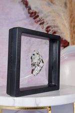 Astrophyllite Mineral Specimen 3.9cm Specimen Tali & Loz Crystals