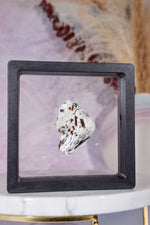 Astrophyllite Mineral Specimen 3.9cm Specimen Tali & Loz Crystals