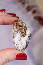 Astrophyllite Mineral Specimen 4.2cm Specimen Tali & Loz Crystals