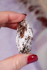 Astrophyllite Mineral Specimen 4.2cm Specimen Tali & Loz Crystals