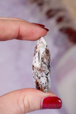 Astrophyllite Mineral Specimen 4.2cm Specimen Tali & Loz Crystals