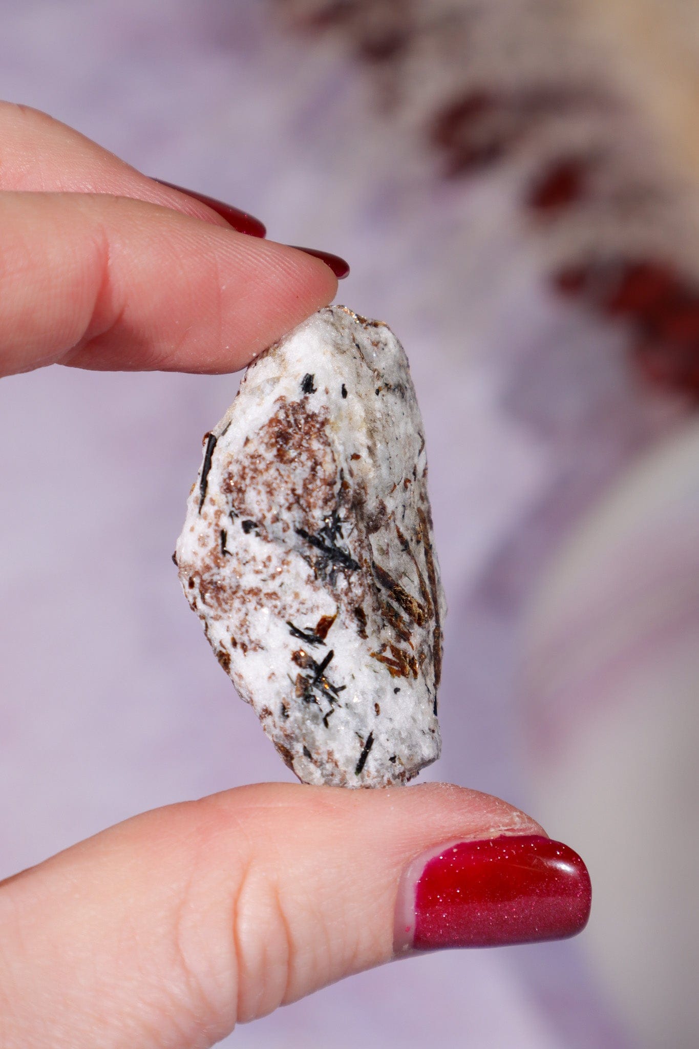 Astrophyllite Mineral Specimen 4.2cm Specimen Tali & Loz Crystals