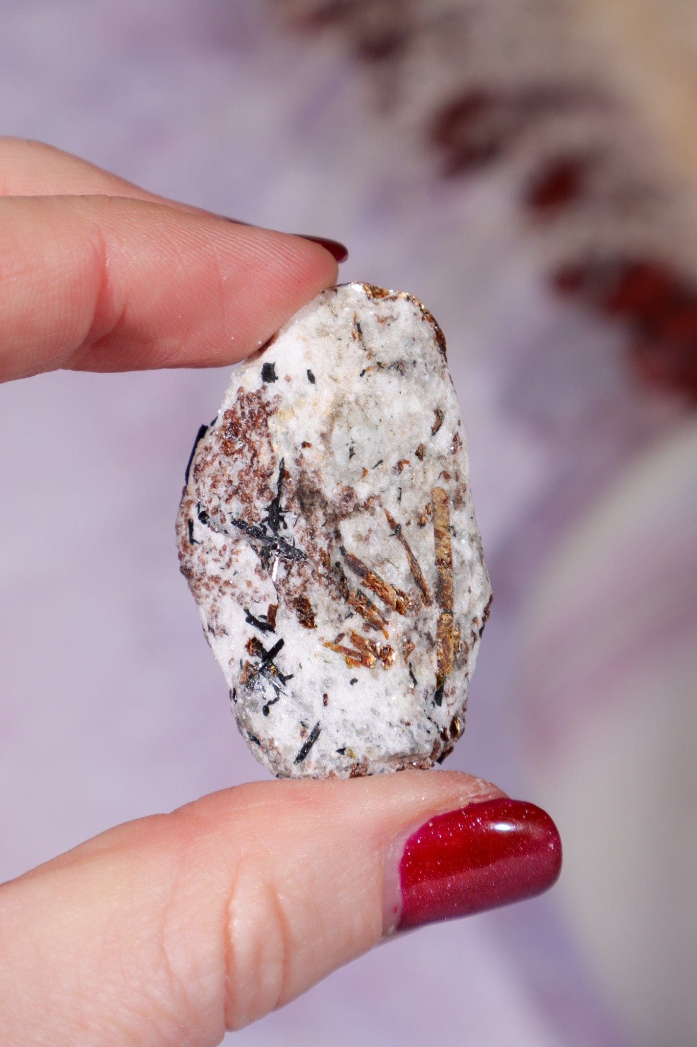 Astrophyllite Mineral Specimen 4.2cm Specimen Tali & Loz Crystals