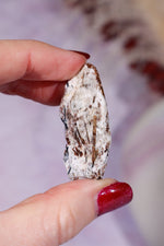 Astrophyllite Mineral Specimen 4.2cm Specimen Tali & Loz Crystals