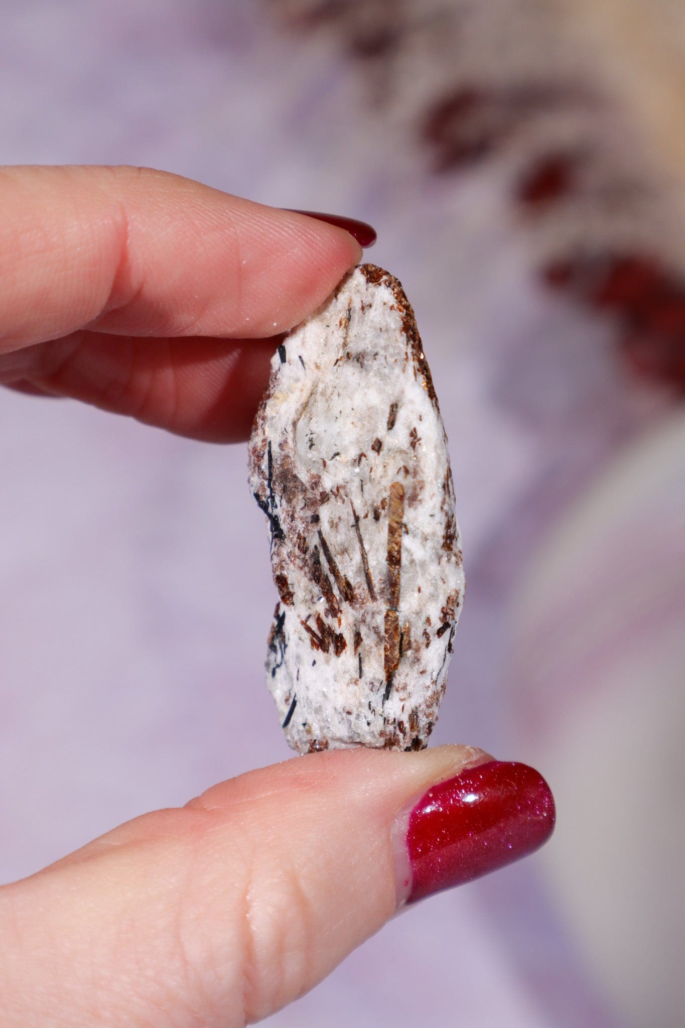 Astrophyllite Mineral Specimen 4.2cm Specimen Tali & Loz Crystals