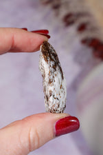 Astrophyllite Mineral Specimen 4.2cm Specimen Tali & Loz Crystals