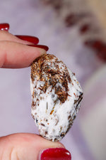 Astrophyllite Mineral Specimen 4.2cm Specimen Tali & Loz Crystals