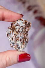 Astrophyllite Mineral Specimen 4cm Specimen Tali & Loz Crystals