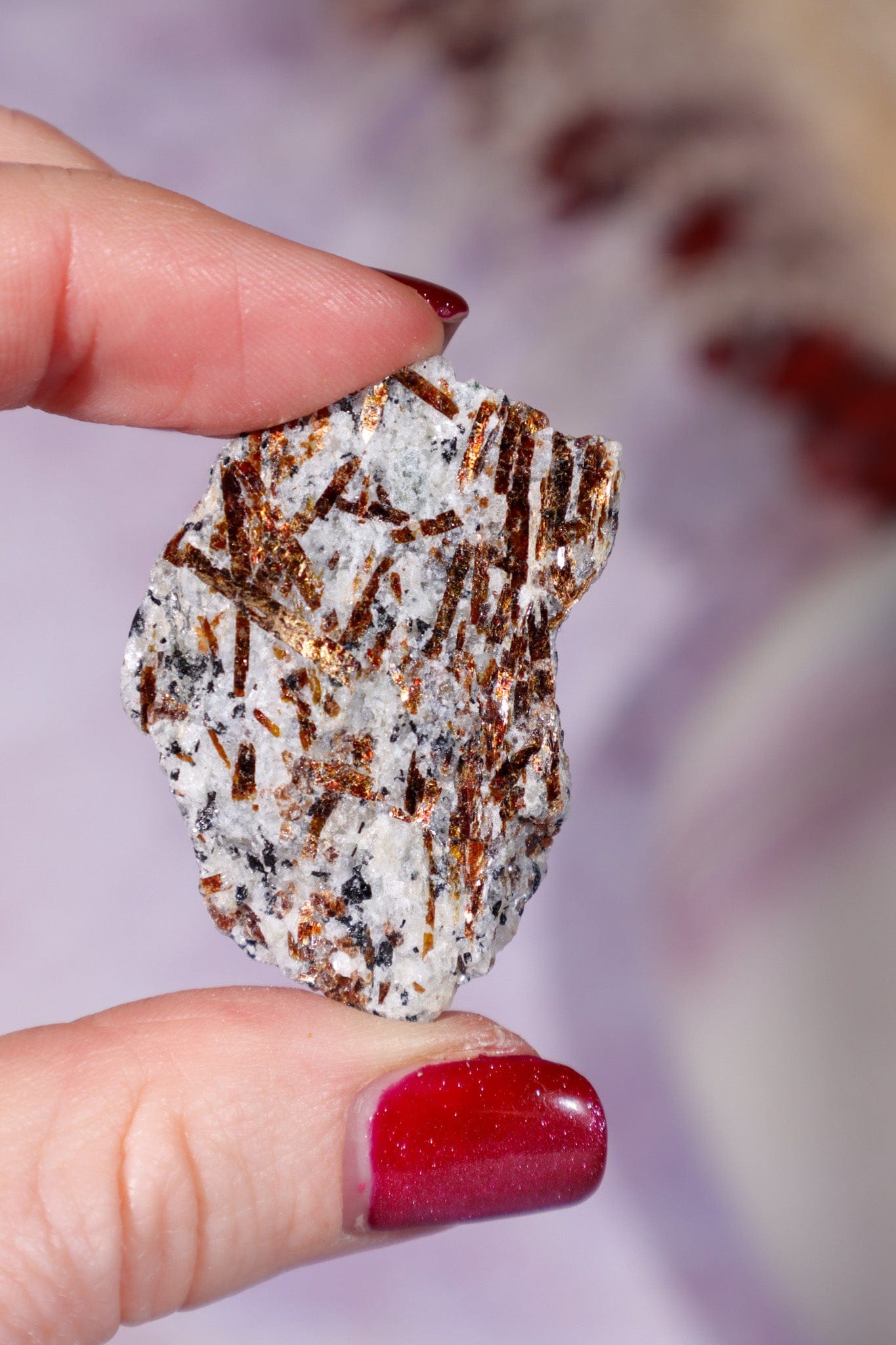 Astrophyllite Mineral Specimen 4cm Specimen Tali & Loz Crystals