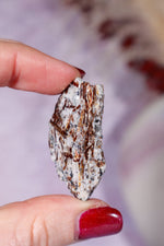 Astrophyllite Mineral Specimen 4cm Specimen Tali & Loz Crystals