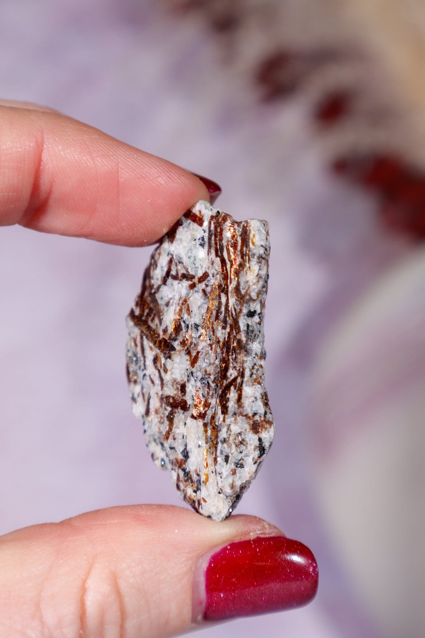 Astrophyllite Mineral Specimen 4cm Specimen Tali & Loz Crystals