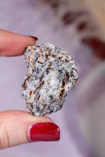 Astrophyllite Mineral Specimen 4cm Specimen Tali & Loz Crystals