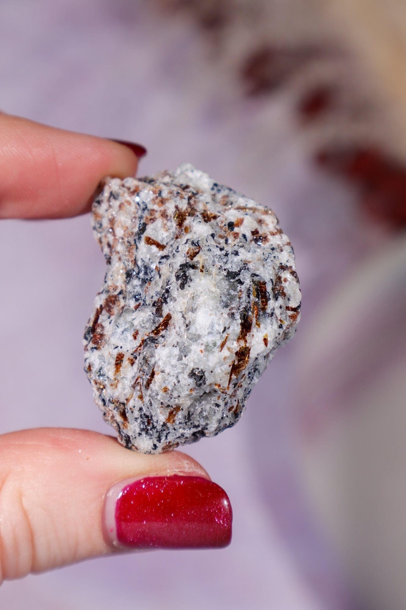 Astrophyllite Mineral Specimen 4cm Specimen Tali & Loz Crystals