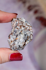 Astrophyllite Mineral Specimen 4cm Specimen Tali & Loz Crystals