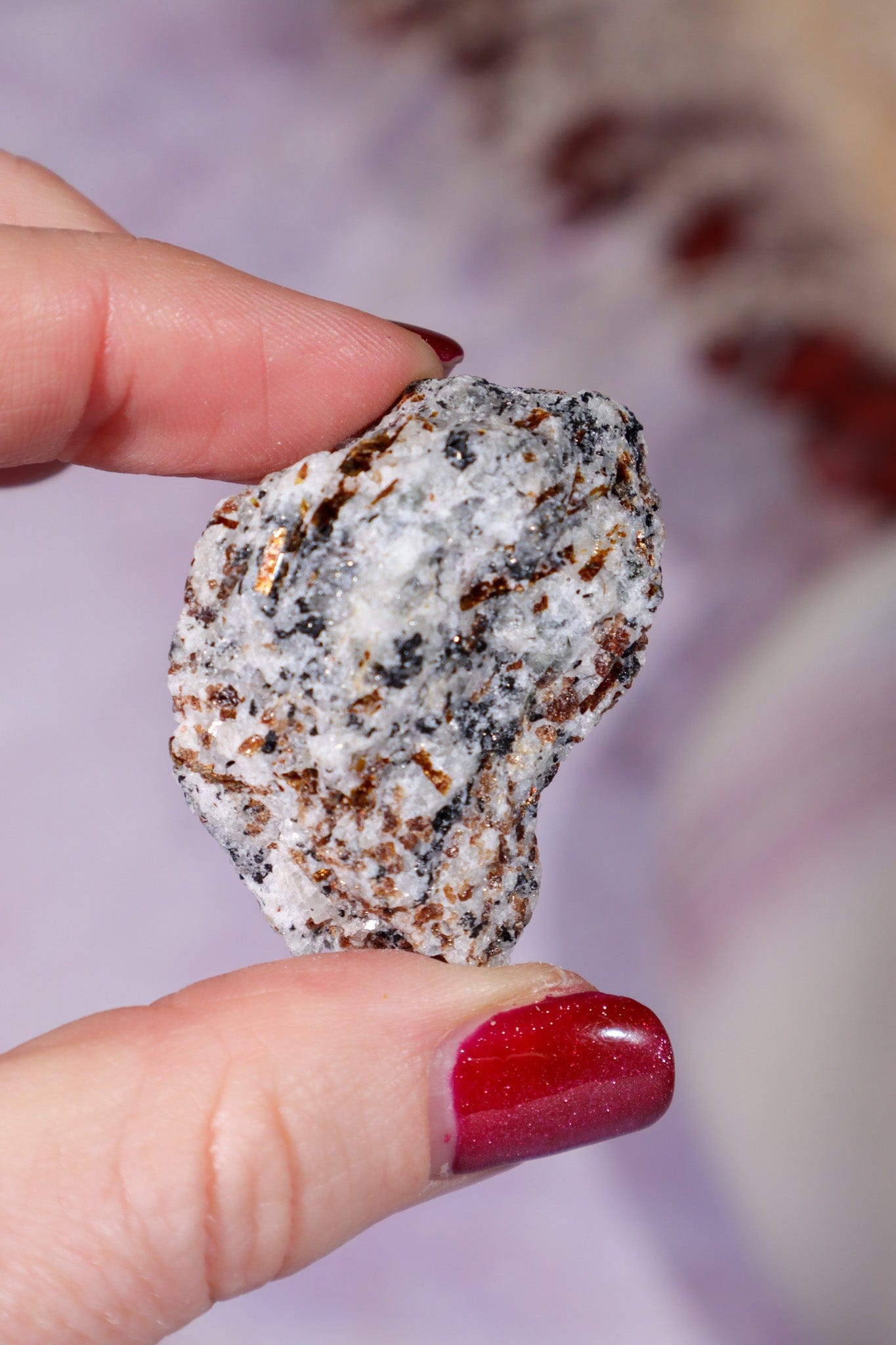 Astrophyllite Mineral Specimen 4cm Specimen Tali & Loz Crystals