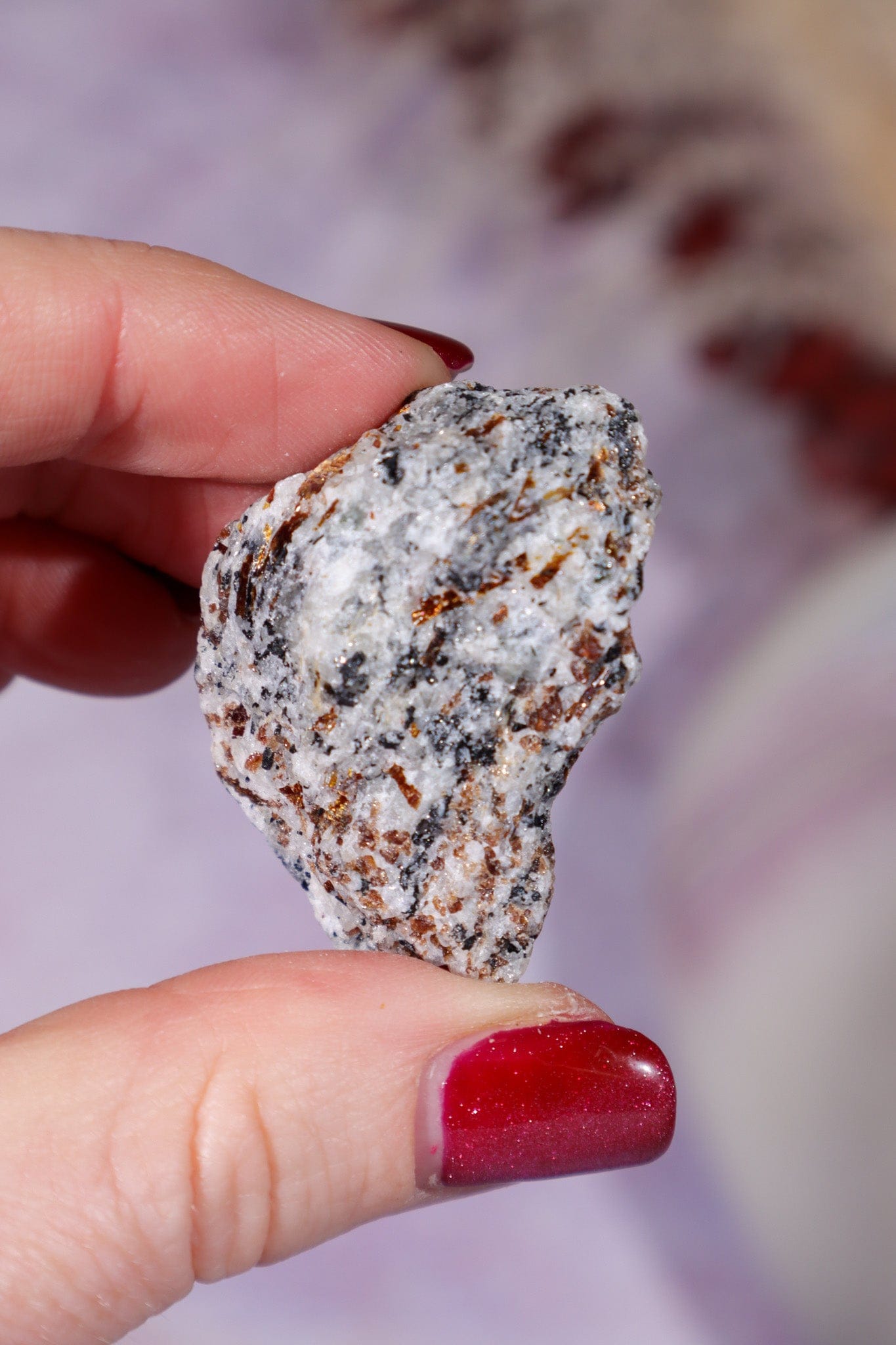 Astrophyllite Mineral Specimen 4cm Specimen Tali & Loz Crystals