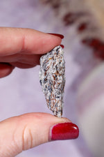 Astrophyllite Mineral Specimen 4cm Specimen Tali & Loz Crystals