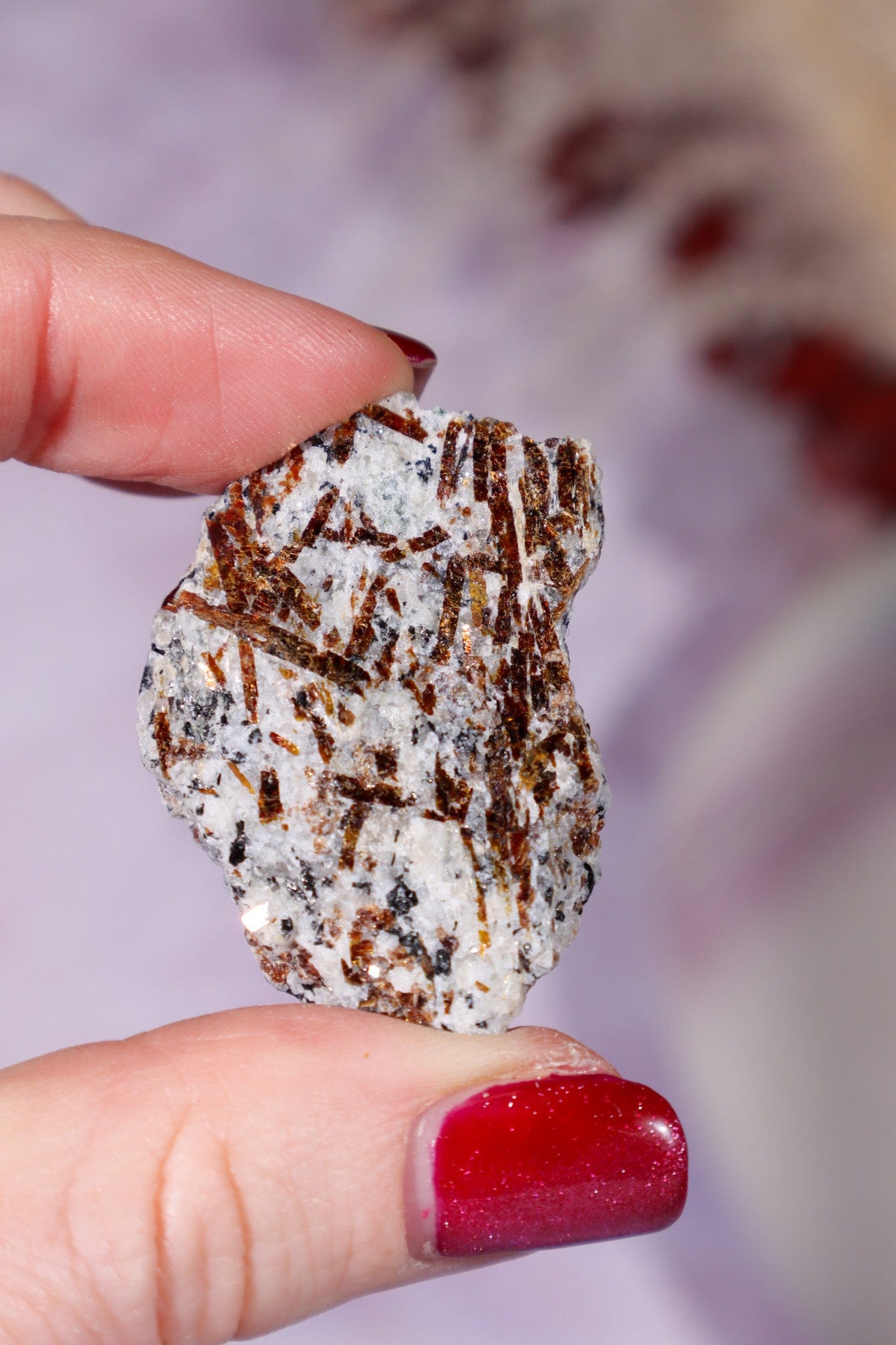 Astrophyllite Mineral Specimen 4cm Specimen Tali & Loz Crystals