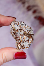 Astrophyllite Mineral Specimen 4cm Specimen Tali & Loz Crystals