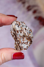 Astrophyllite Mineral Specimen 4cm Specimen Tali & Loz Crystals