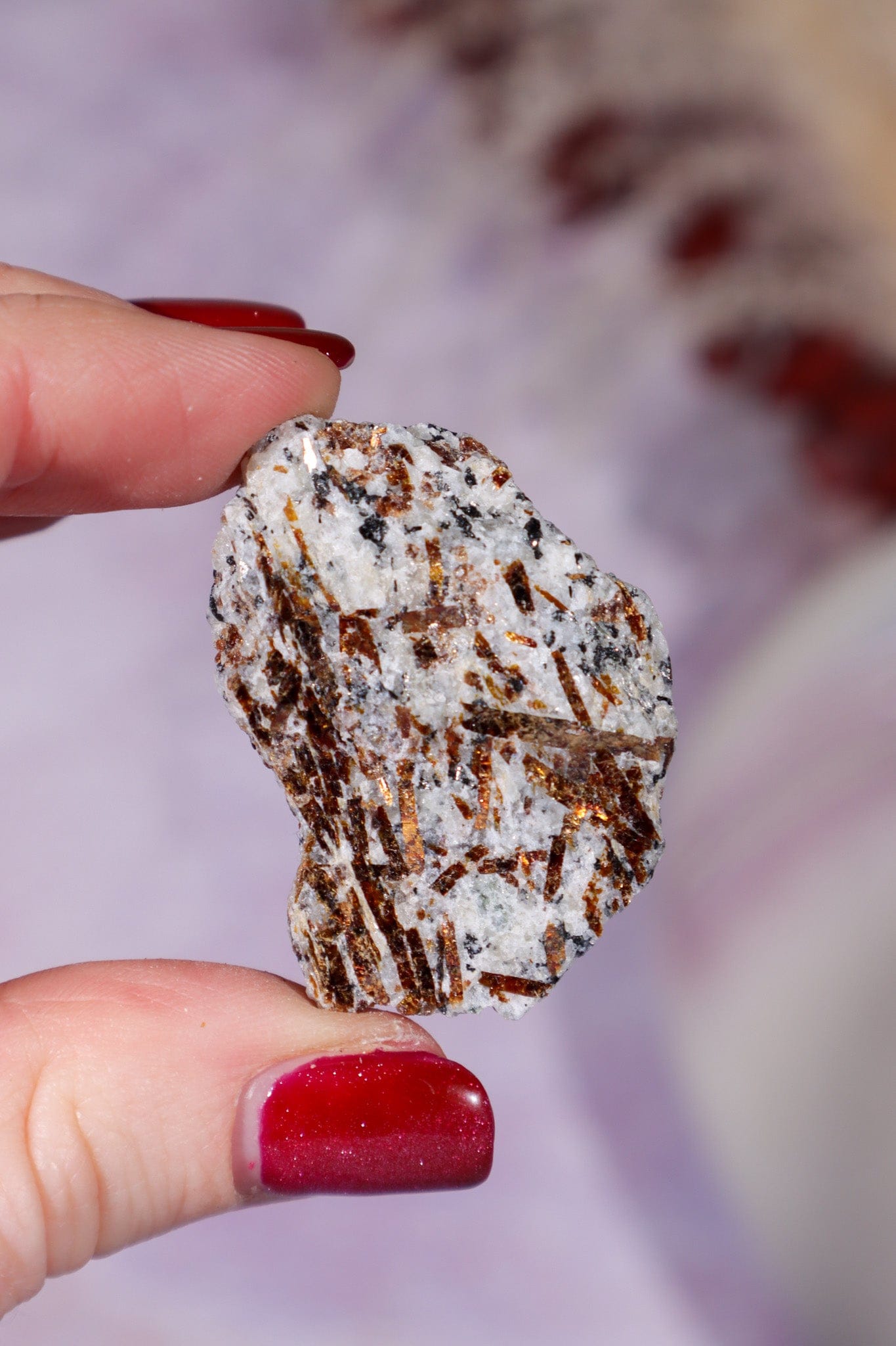 Astrophyllite Mineral Specimen 4cm Specimen Tali & Loz Crystals