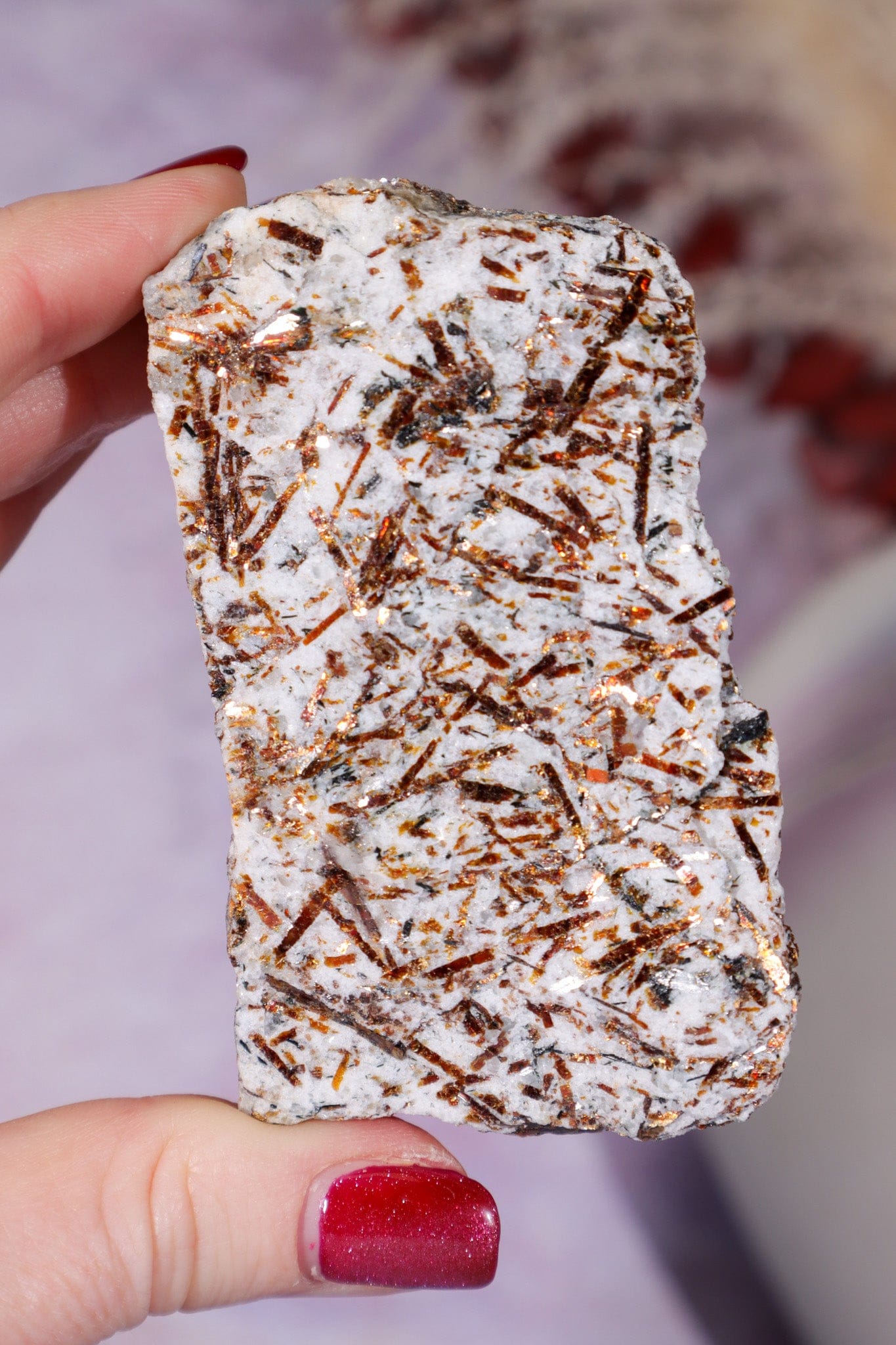 Astrophyllite Mineral Specimen 7.7cm Specimen Tali & Loz Crystals