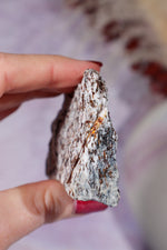 Astrophyllite Mineral Specimen 7.7cm Specimen Tali & Loz Crystals