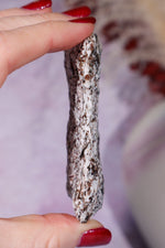 Astrophyllite Mineral Specimen 7.7cm Specimen Tali & Loz Crystals