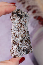 Astrophyllite Mineral Specimen 7.7cm Specimen Tali & Loz Crystals