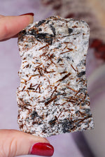 Astrophyllite Mineral Specimen 7.7cm Specimen Tali & Loz Crystals