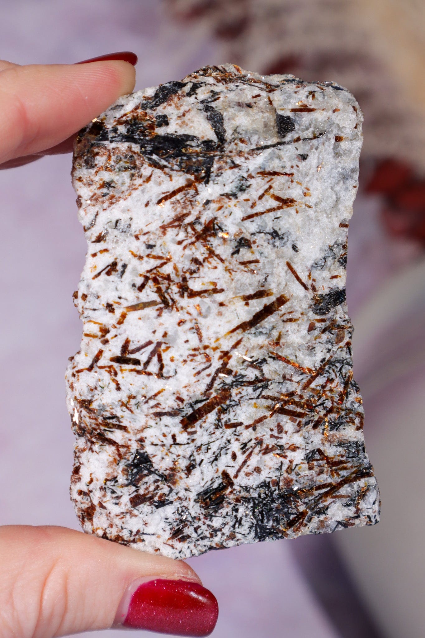 Astrophyllite Mineral Specimen 7.7cm Specimen Tali & Loz Crystals