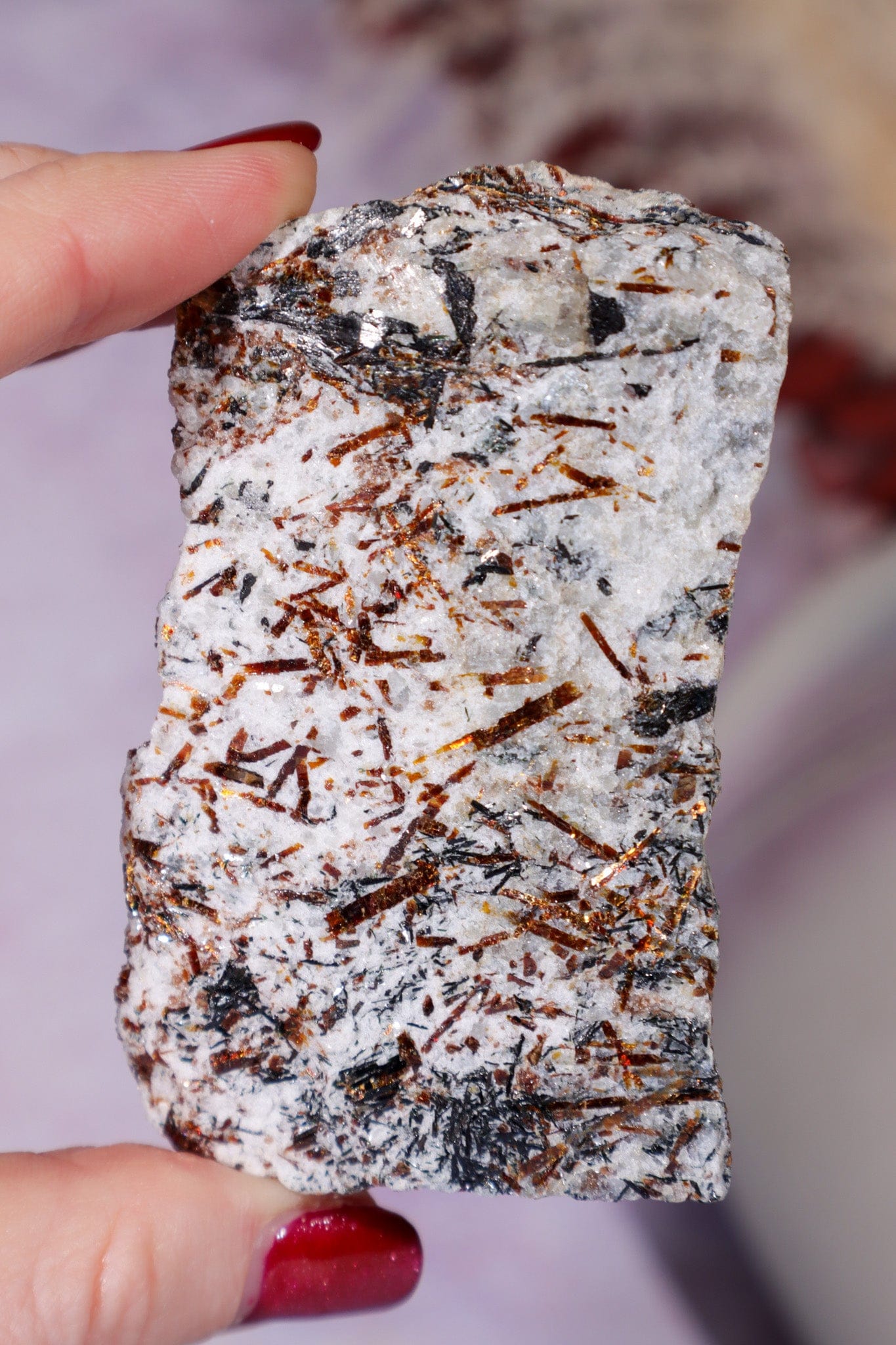 Astrophyllite Mineral Specimen 7.7cm Specimen Tali & Loz Crystals