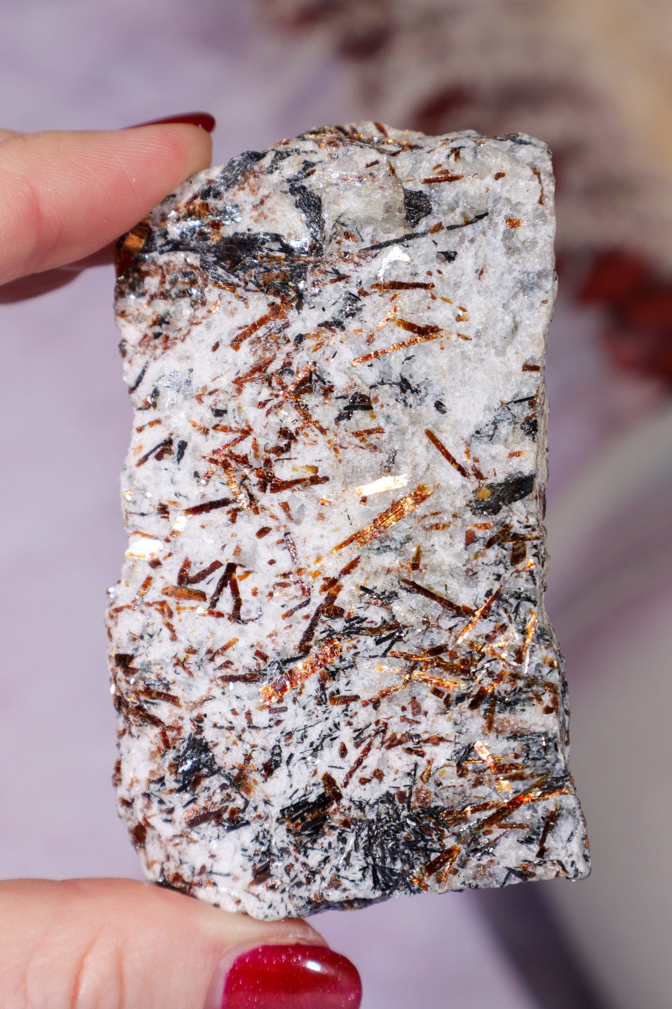 Astrophyllite Mineral Specimen 7.7cm Specimen Tali & Loz Crystals