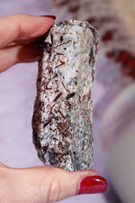 Astrophyllite Mineral Specimen 7.7cm Specimen Tali & Loz Crystals